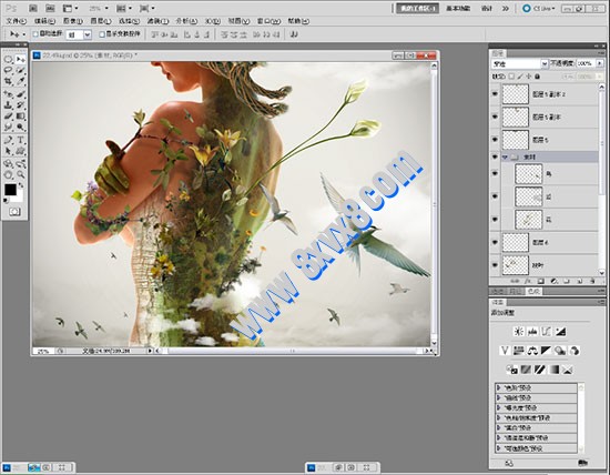 Photoshop CS5视频教程精通篇 PS基础教程
